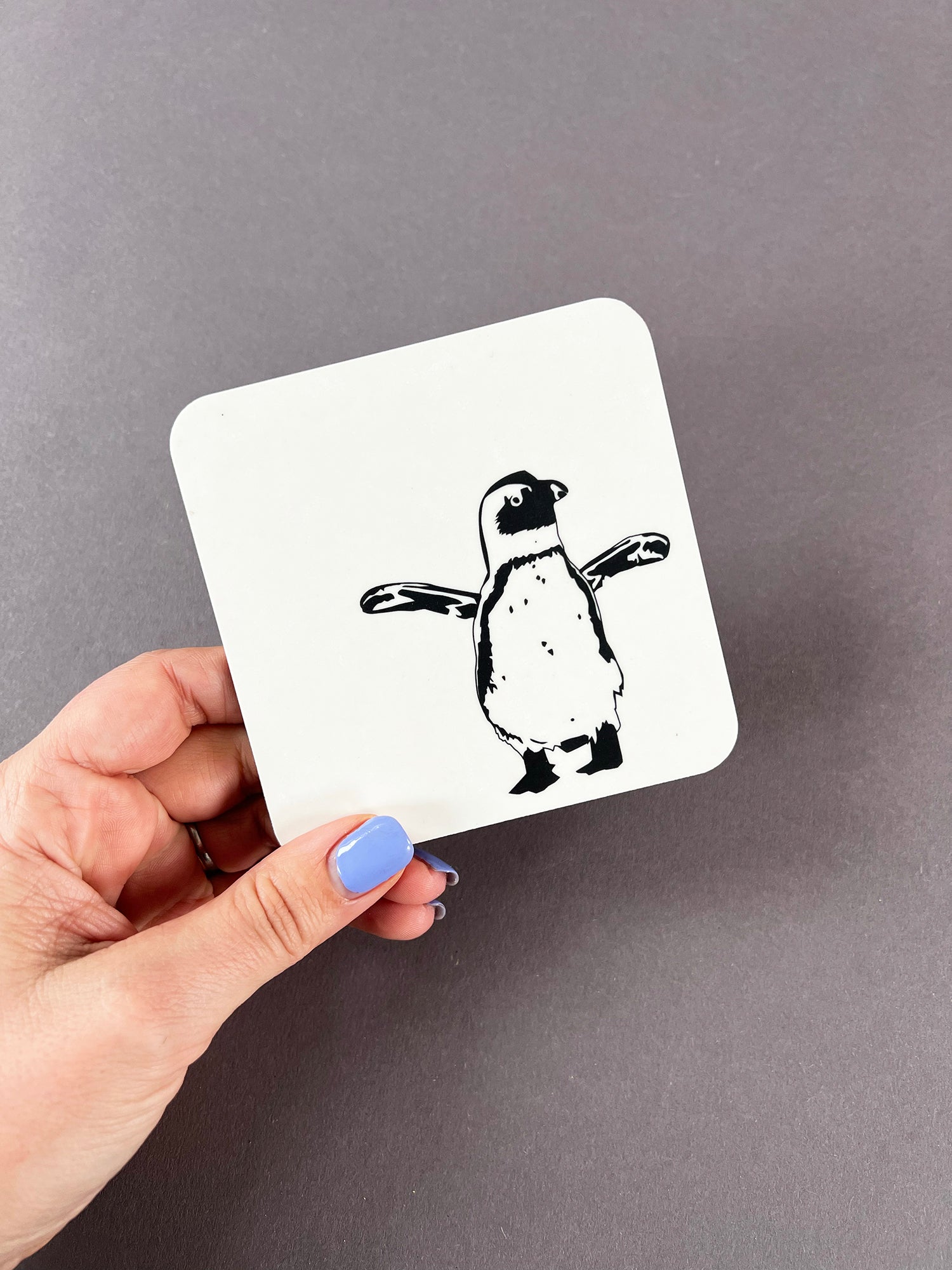 African Penguin Coaster