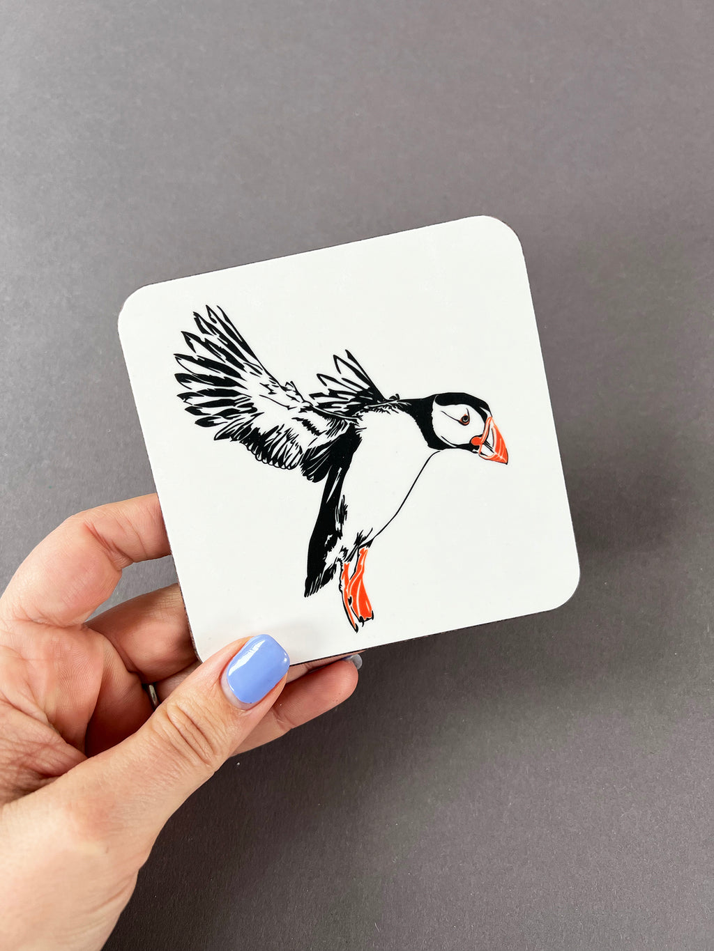 Puffin Landing Coaster