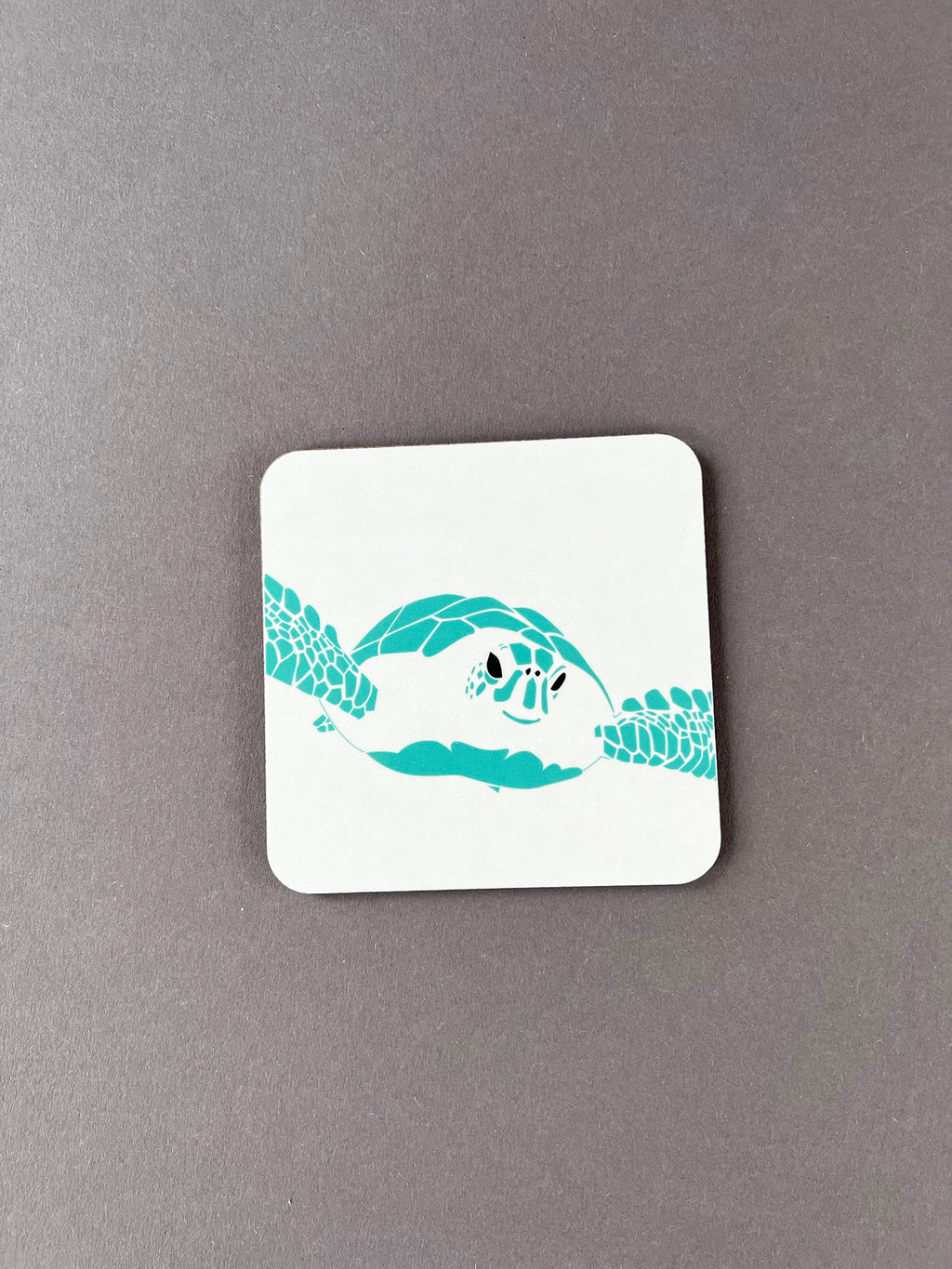 Turtle  Coaster