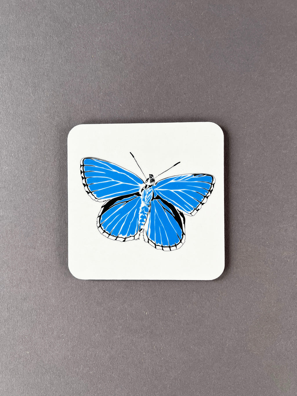 Butterfly Blue Coaster