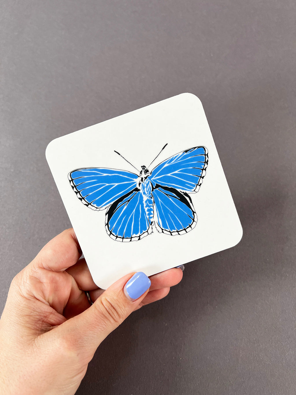 Butterfly Blue Coaster