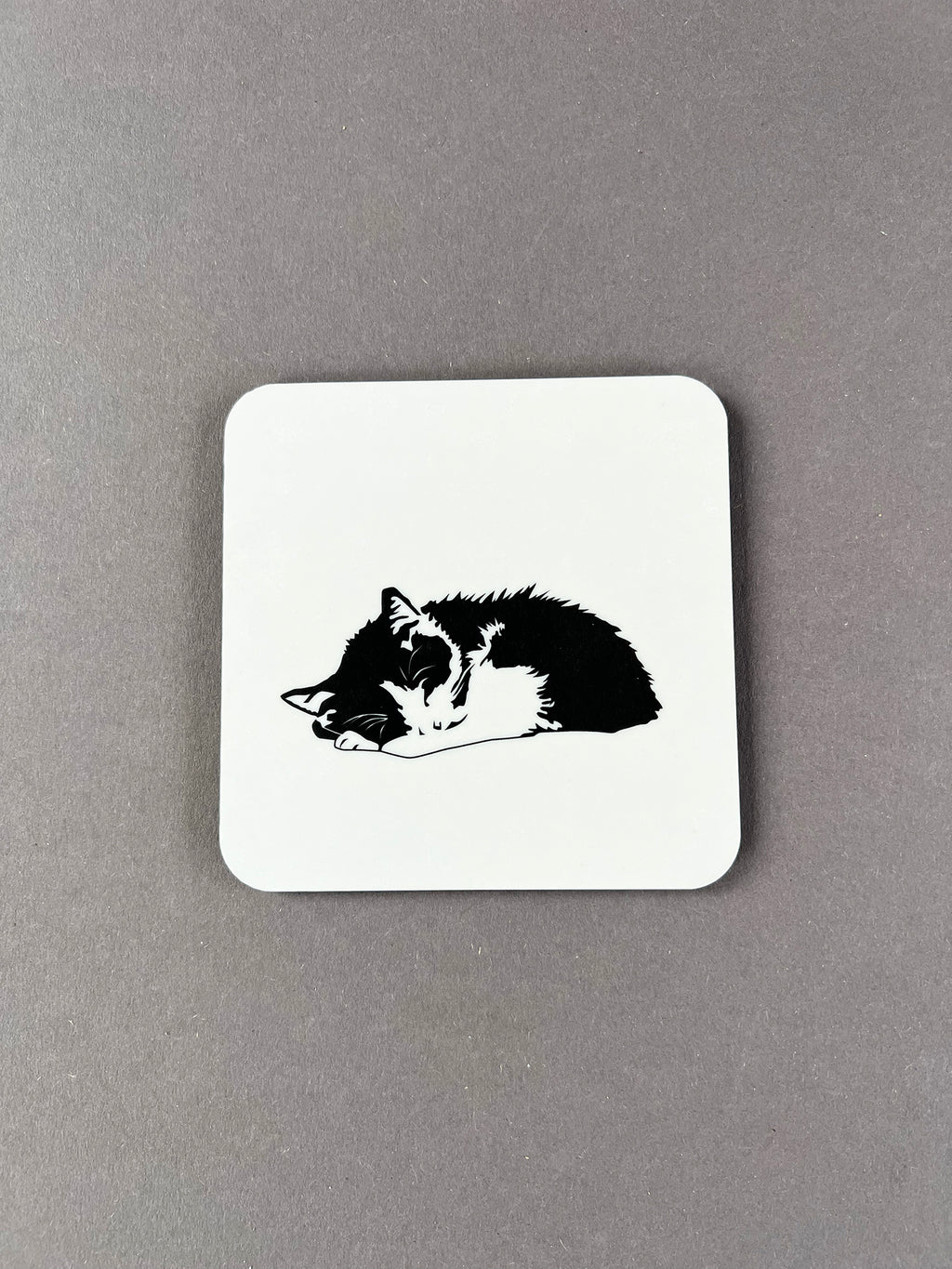 Casey Coaster