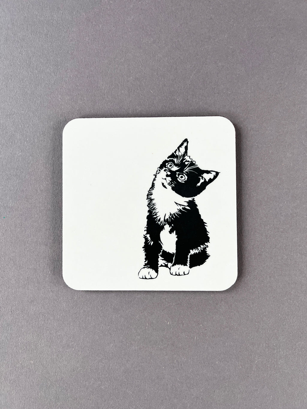 Molly Coaster
