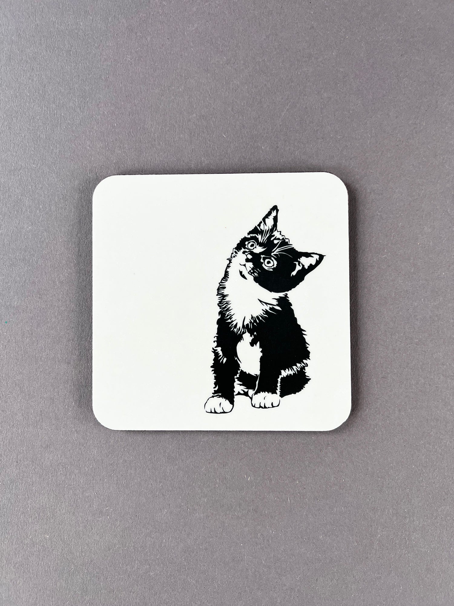Molly Coaster