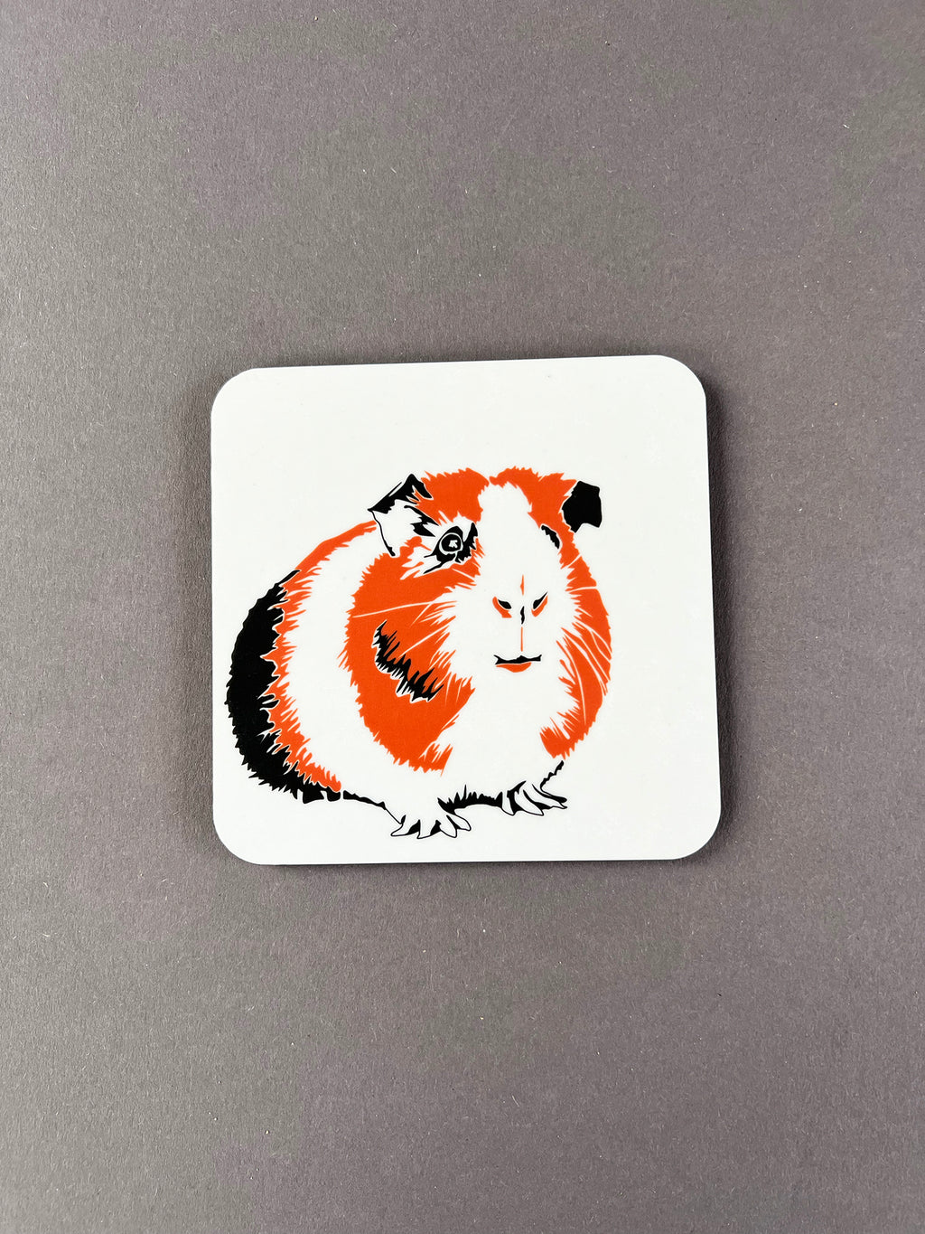 Guinea Pig Coaster