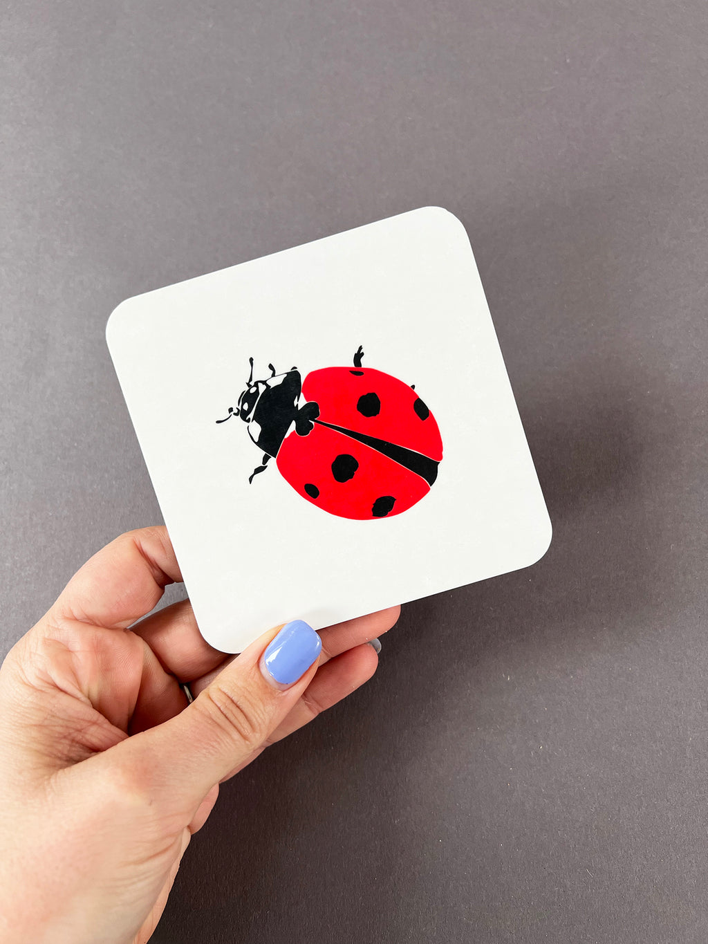 Ladybug Coaster