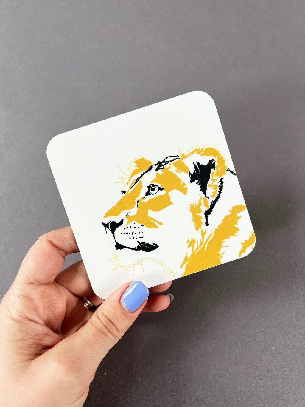 Lioness Coaster