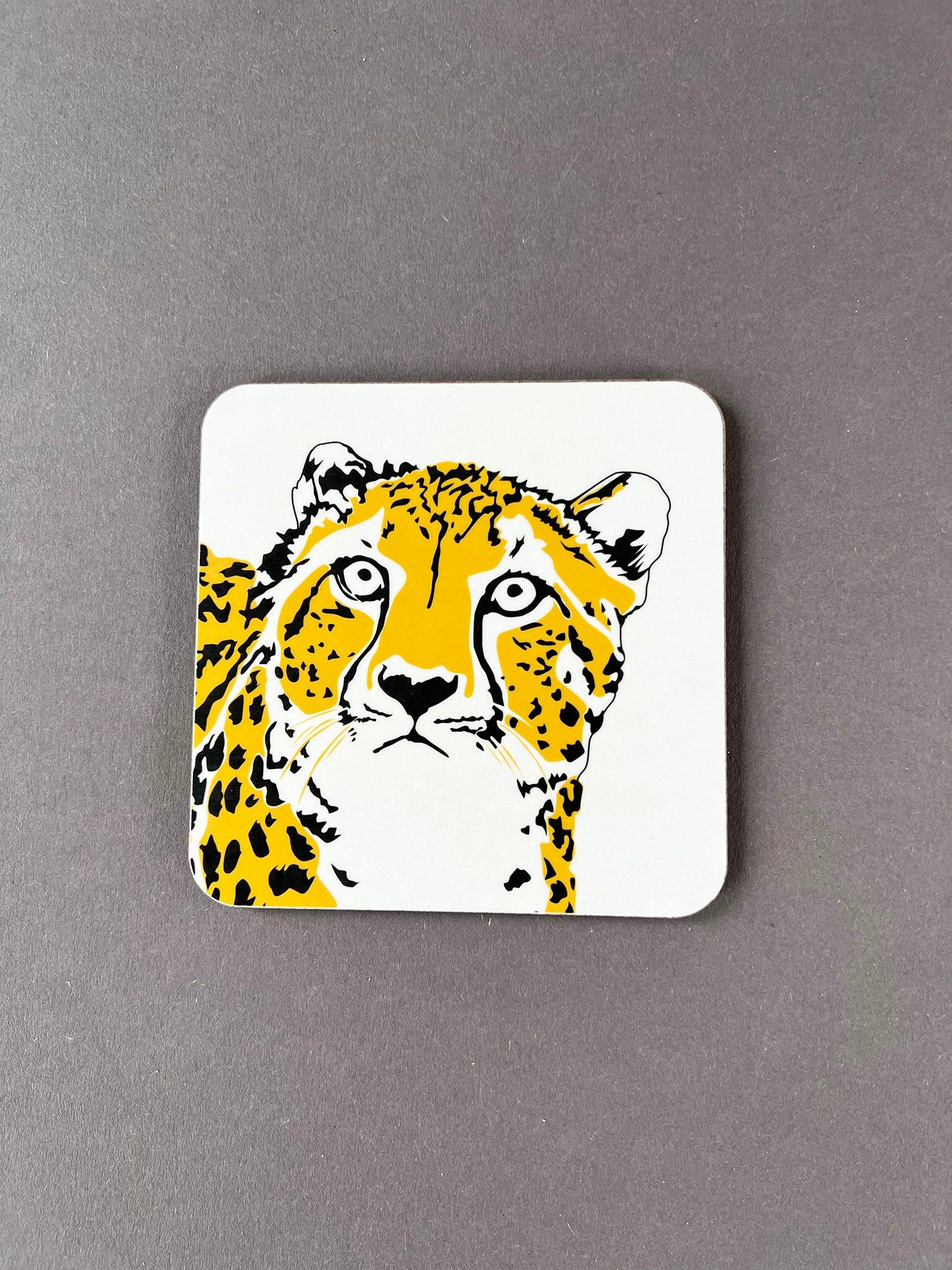 Cheetah Coaster
