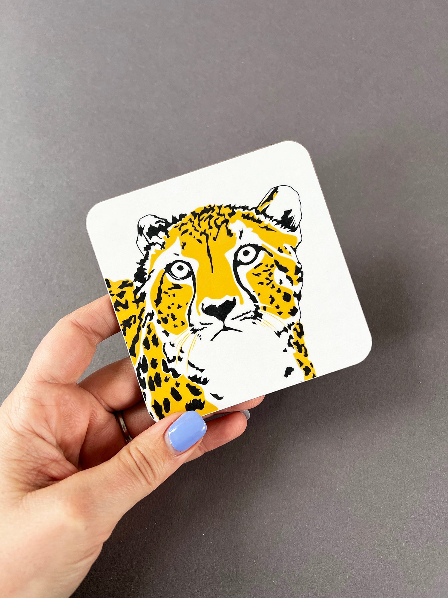 Cheetah Coaster