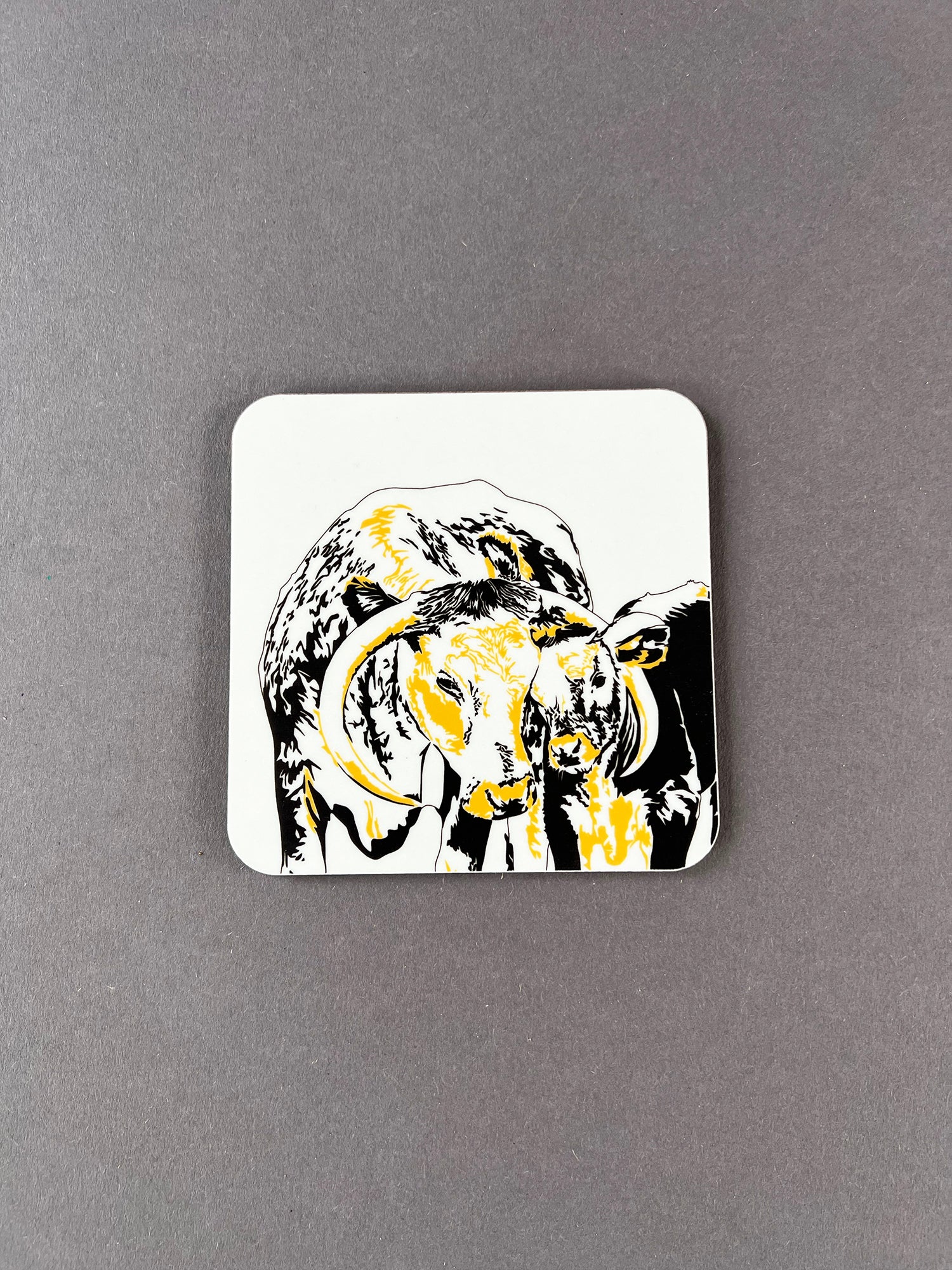 Longhorn Coaster
