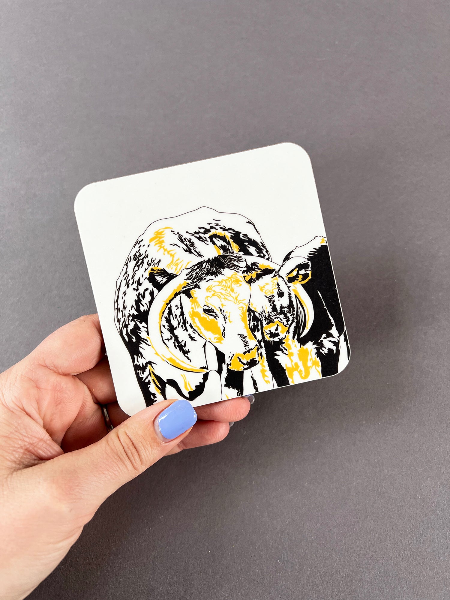 Longhorn Coaster