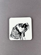 Springer Big Dog Coaster