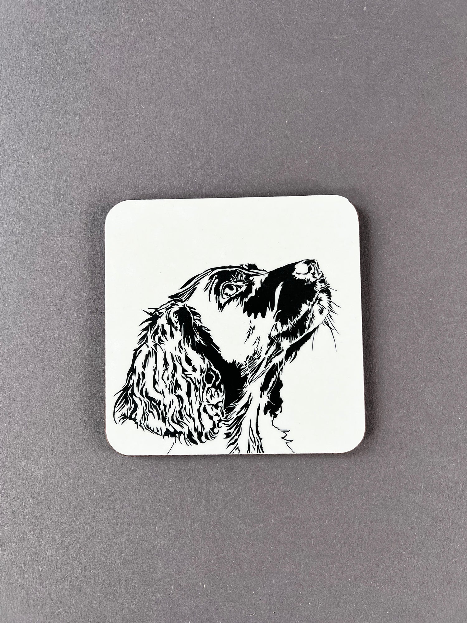 Springer Big Dog Coaster