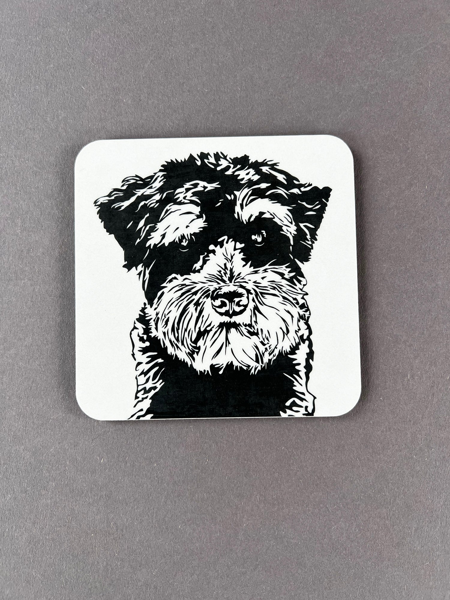 Miniature Schnauzer Coaster