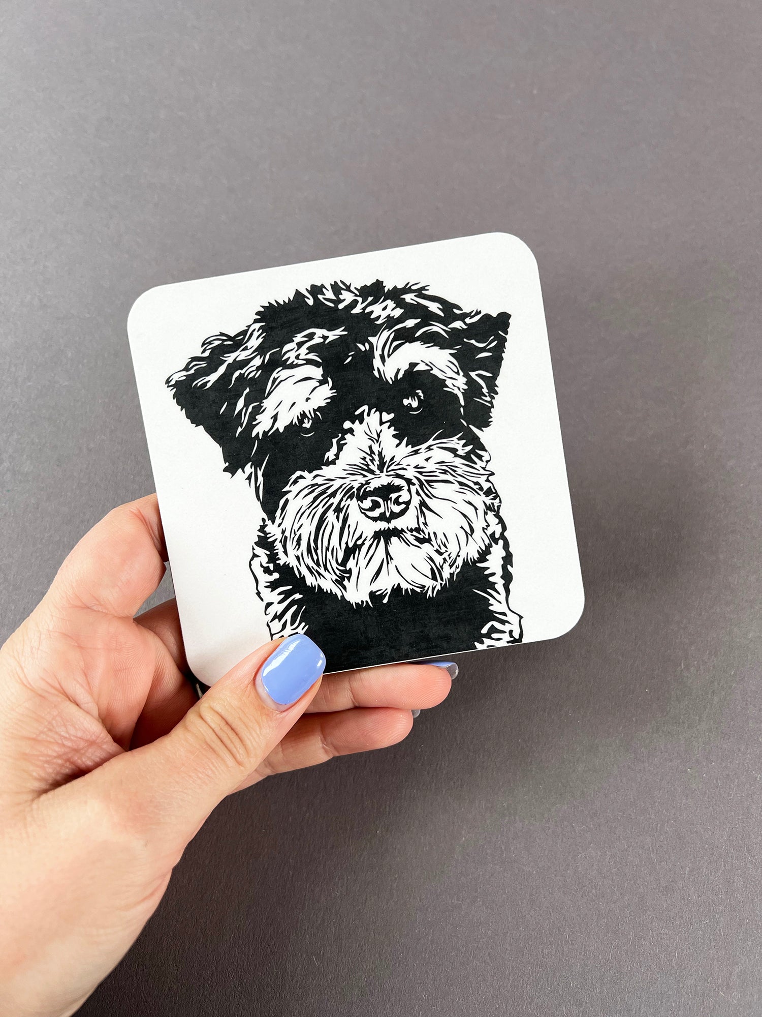 Miniature Schnauzer Coaster