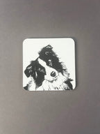 Collie Coaster