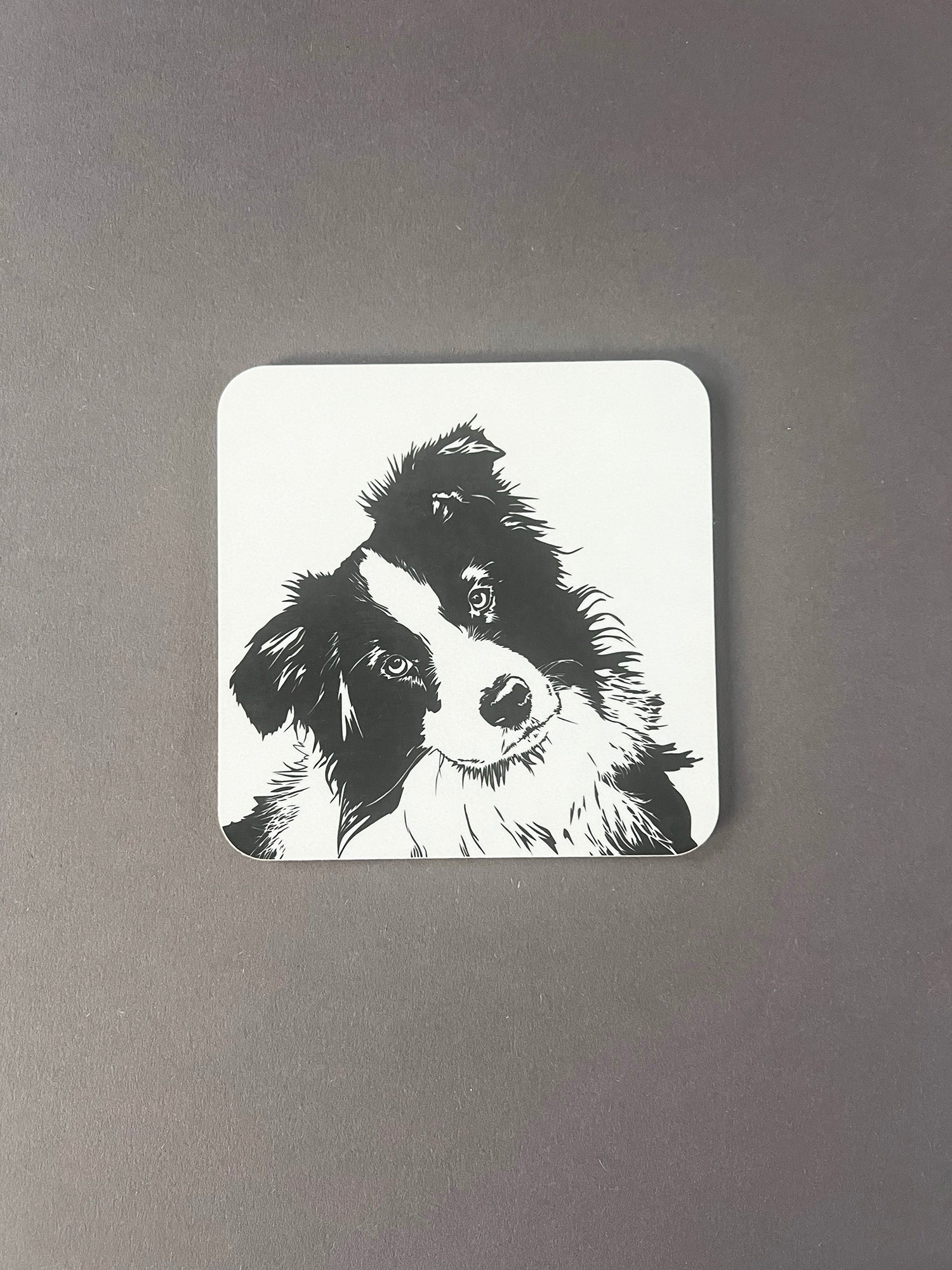 Collie Coaster