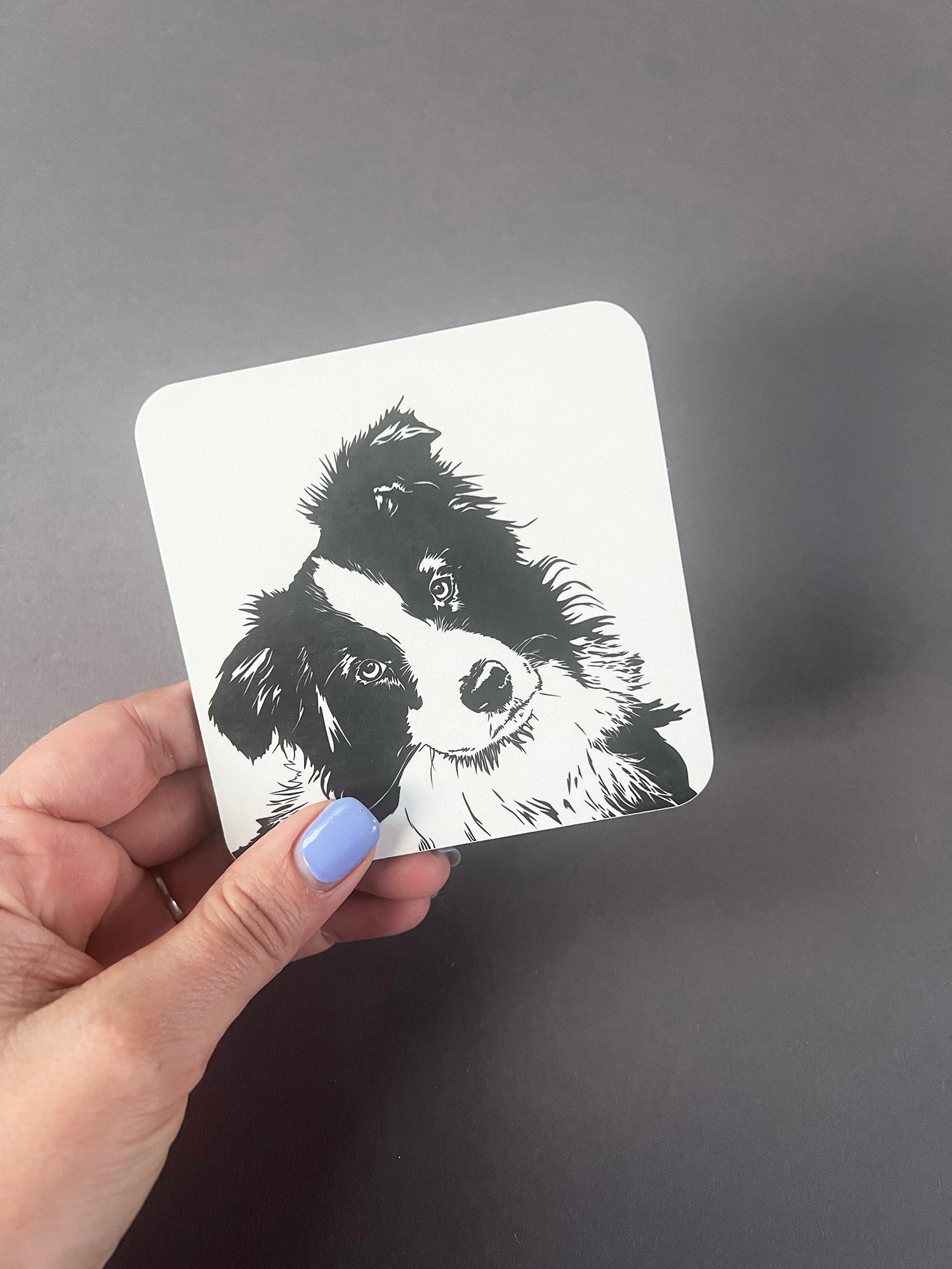 Collie Coaster