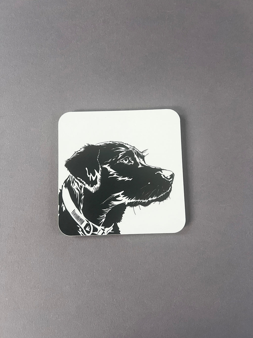 Labrador Puppy Coaster