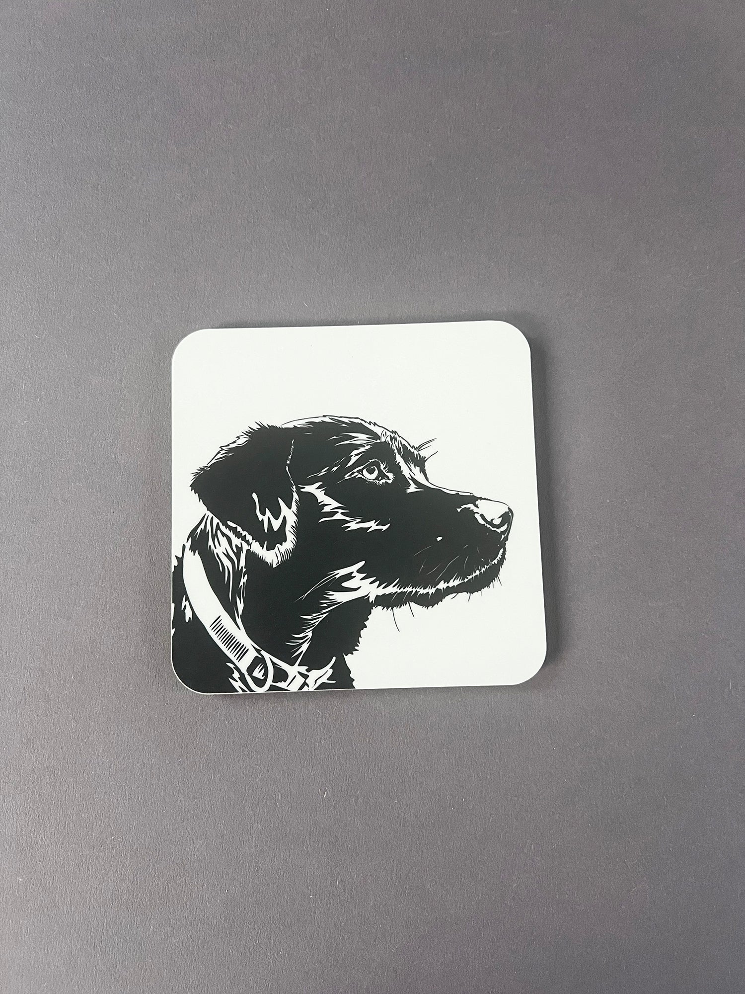 Labrador Puppy Coaster