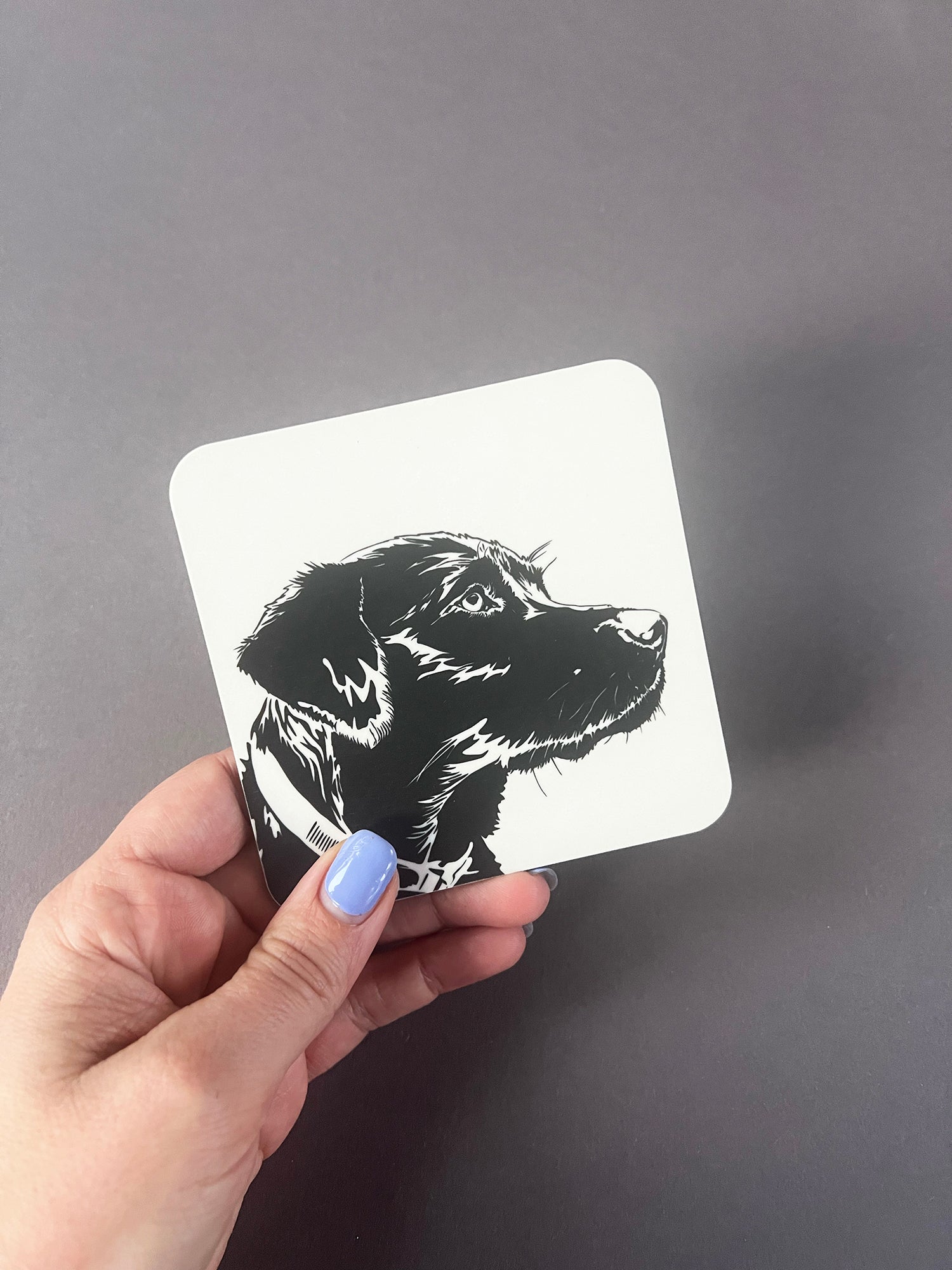 Labrador Puppy Coaster