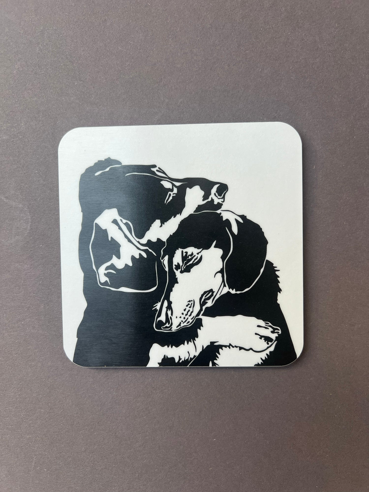 Dachshund Cuddles Coaster