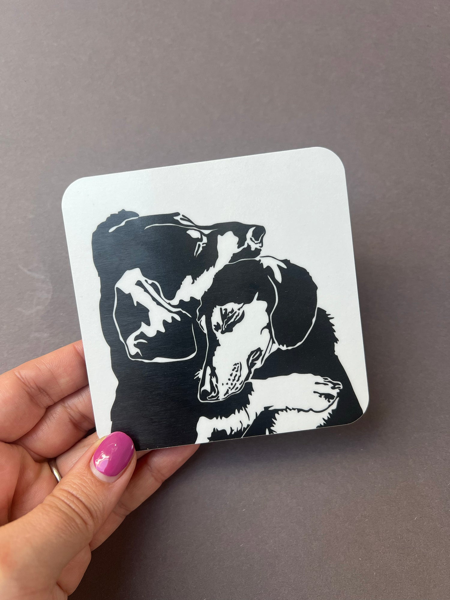 Dachshund Cuddles Coaster