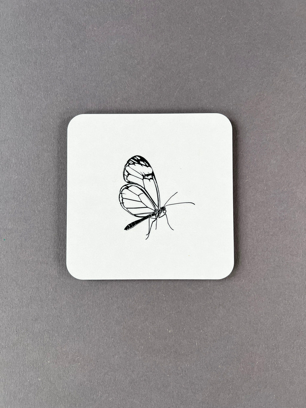 Glasswing Butterfly Coaster