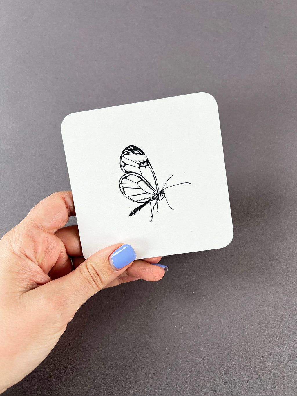 Glasswing Butterfly Coaster