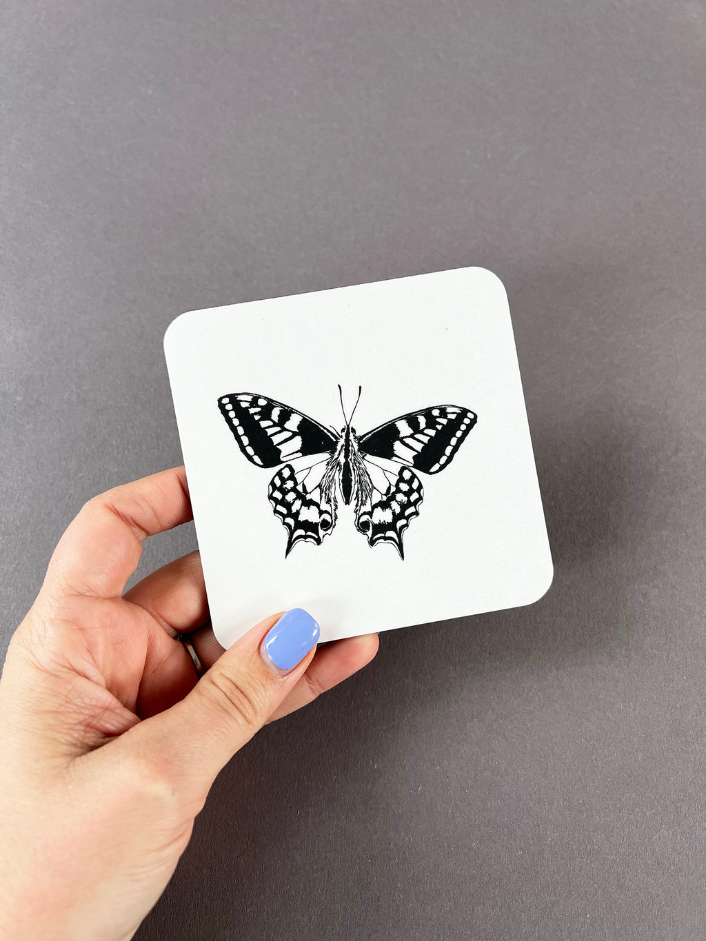 Swallowtail Butterfly Coaster