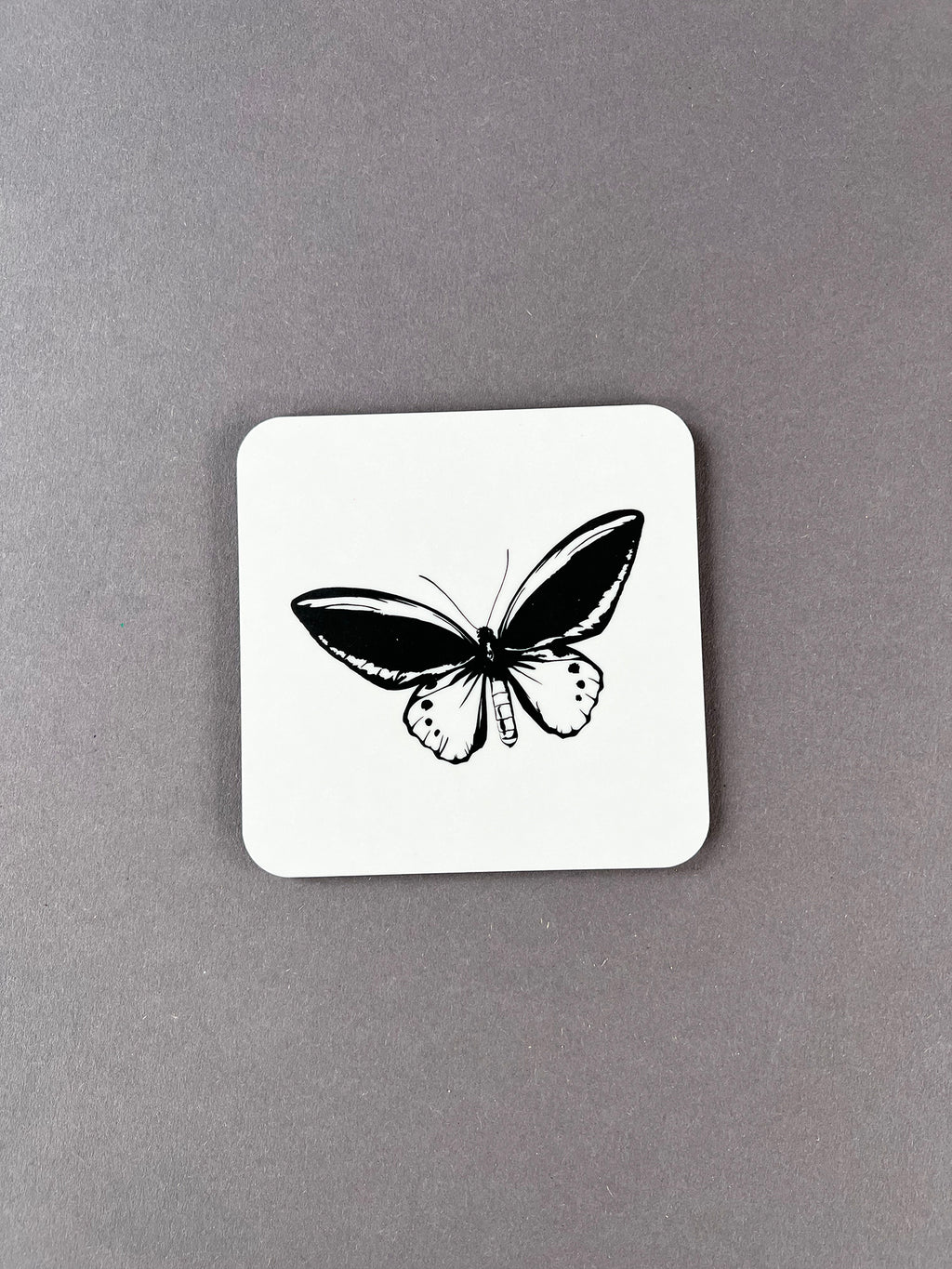 Birdwing Butterfly Coaster