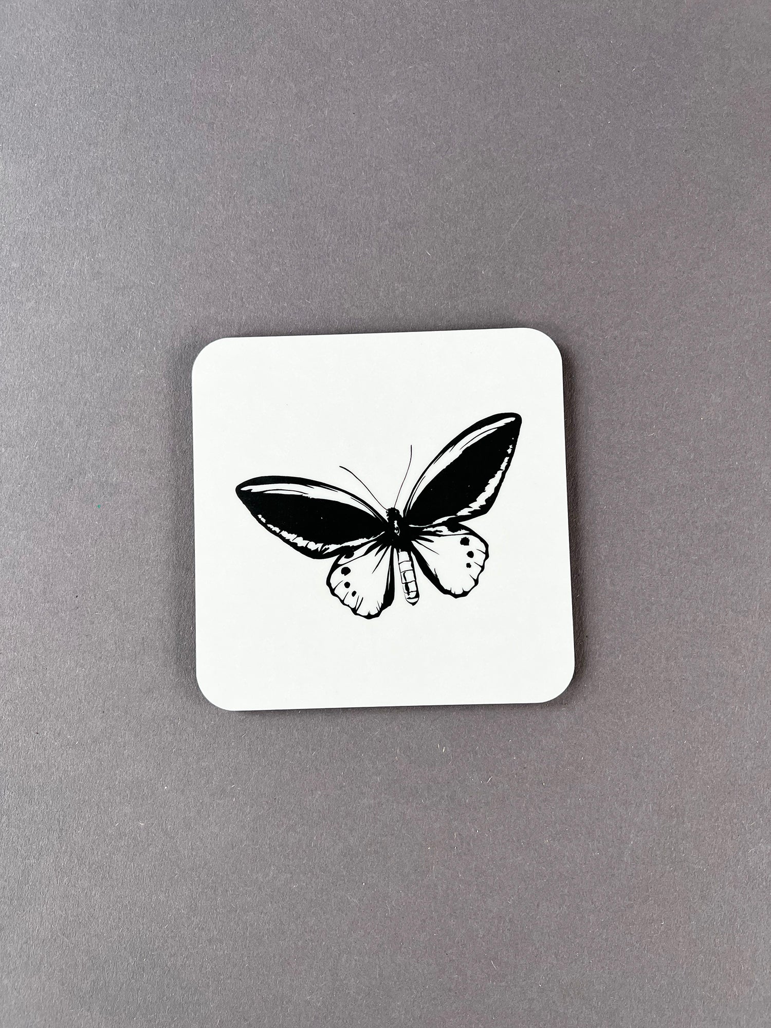 Birdwing Butterfly Coaster