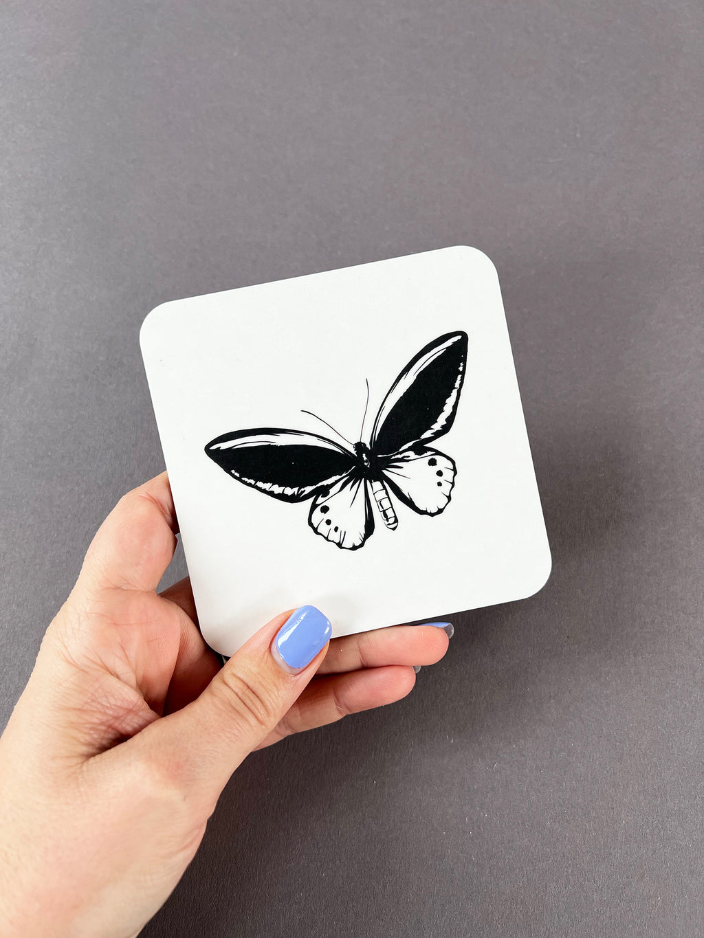 Birdwing Butterfly Coaster