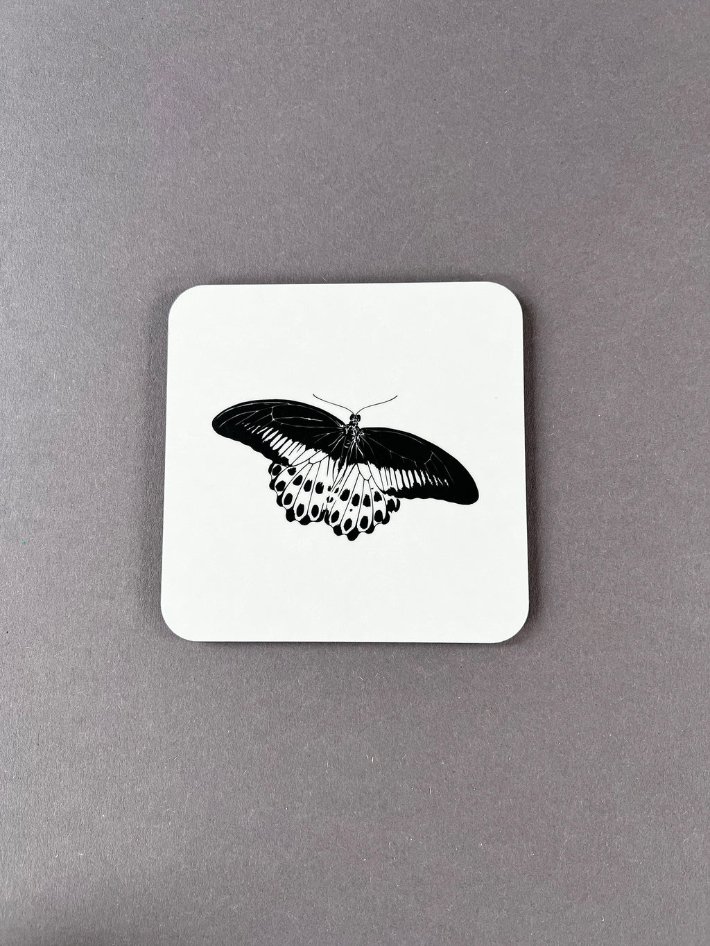 Mormon Butterfly Coaster