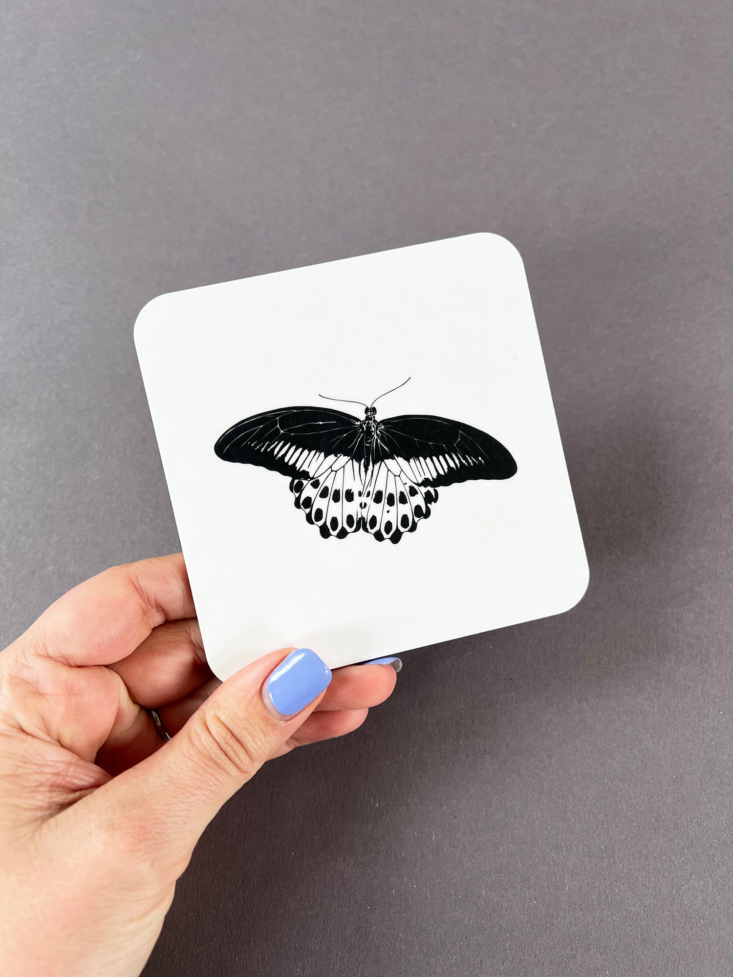 Mormon Butterfly Coaster