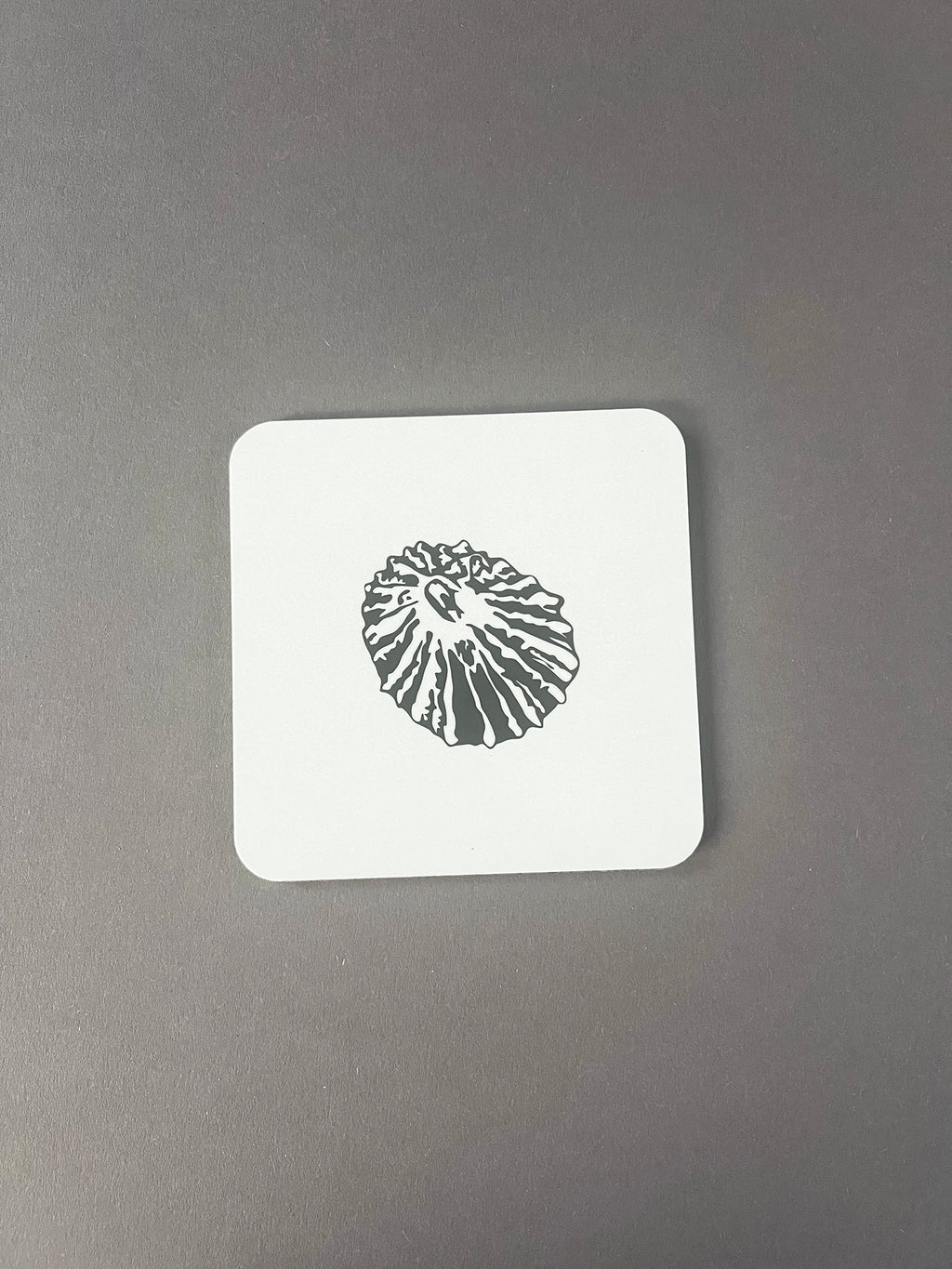 Limpet Coaster