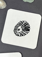 Limpet Coaster