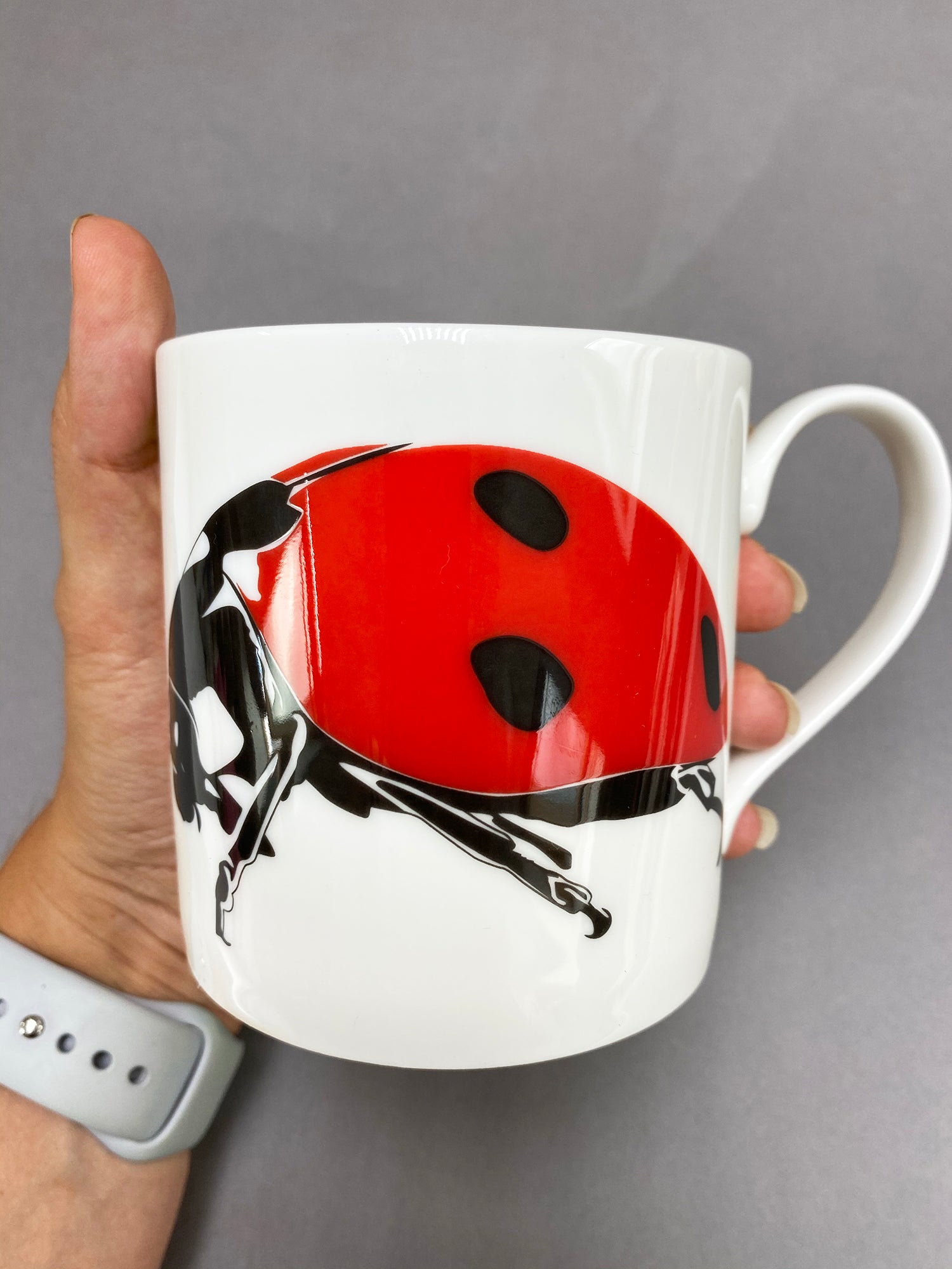 Ladybird Mug