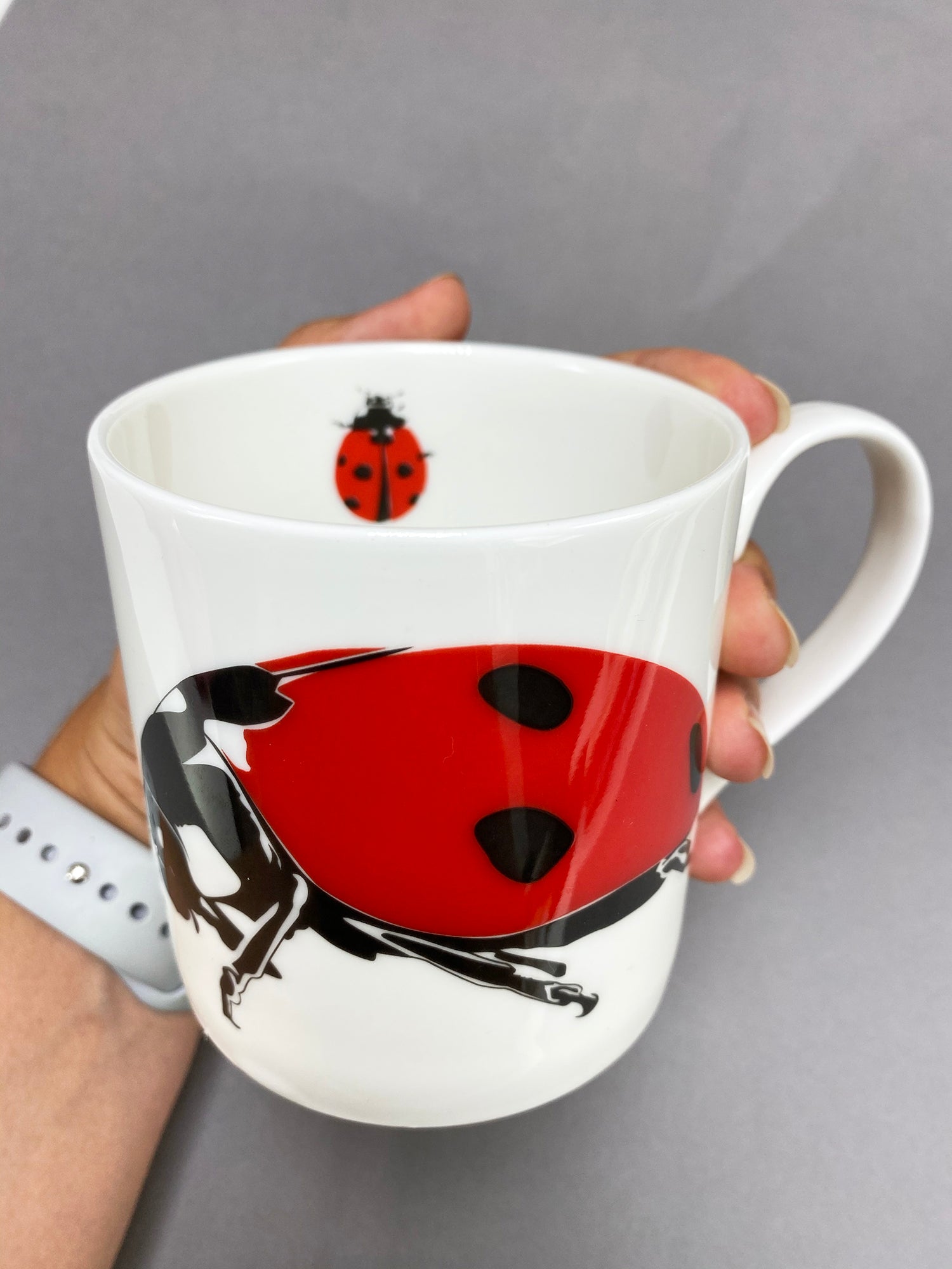Ladybird Mug