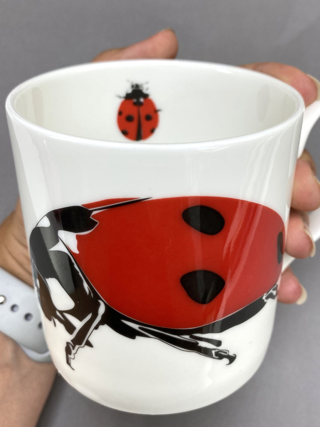 Ladybird Mug