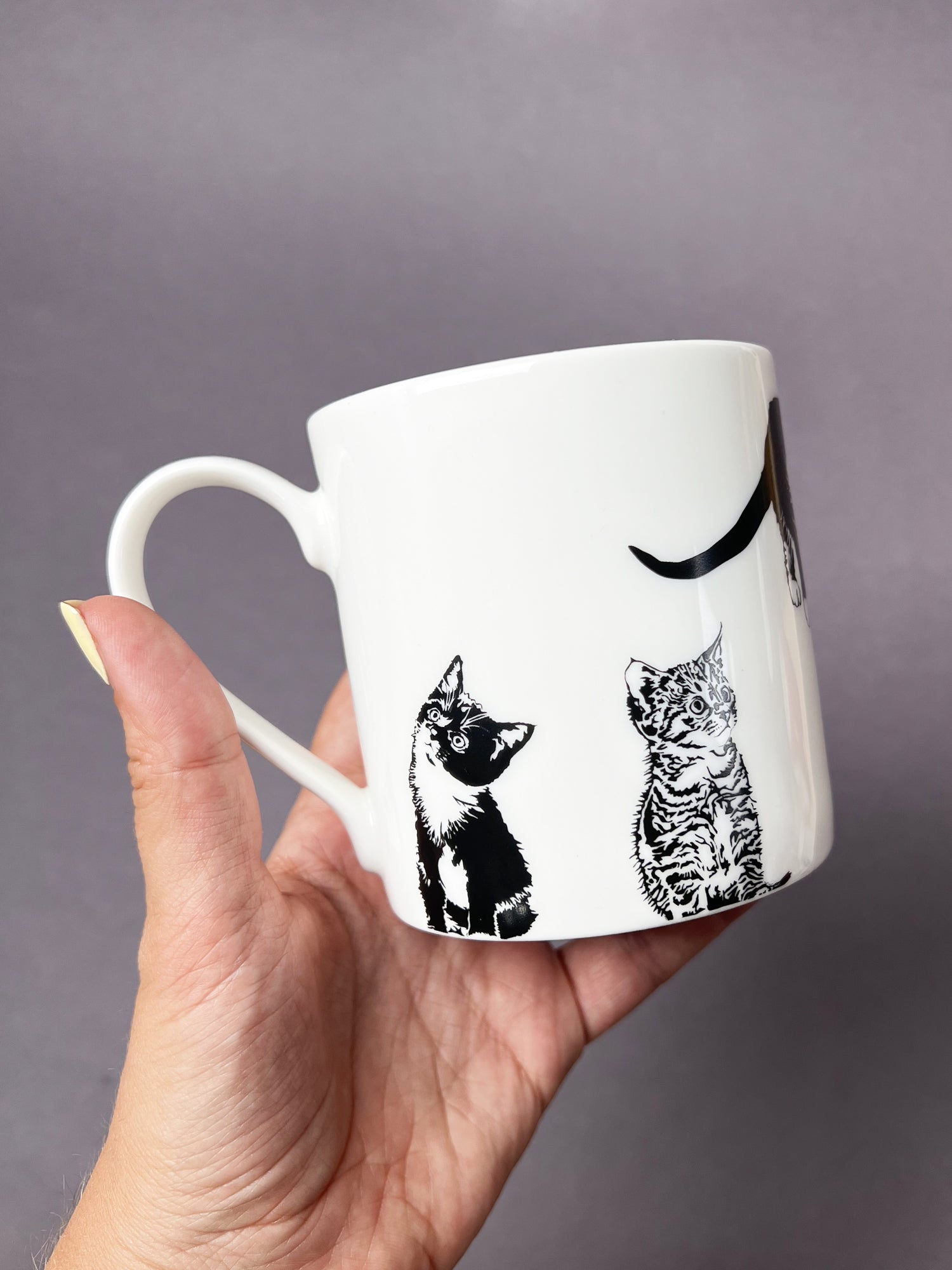 Multi Cat Mug