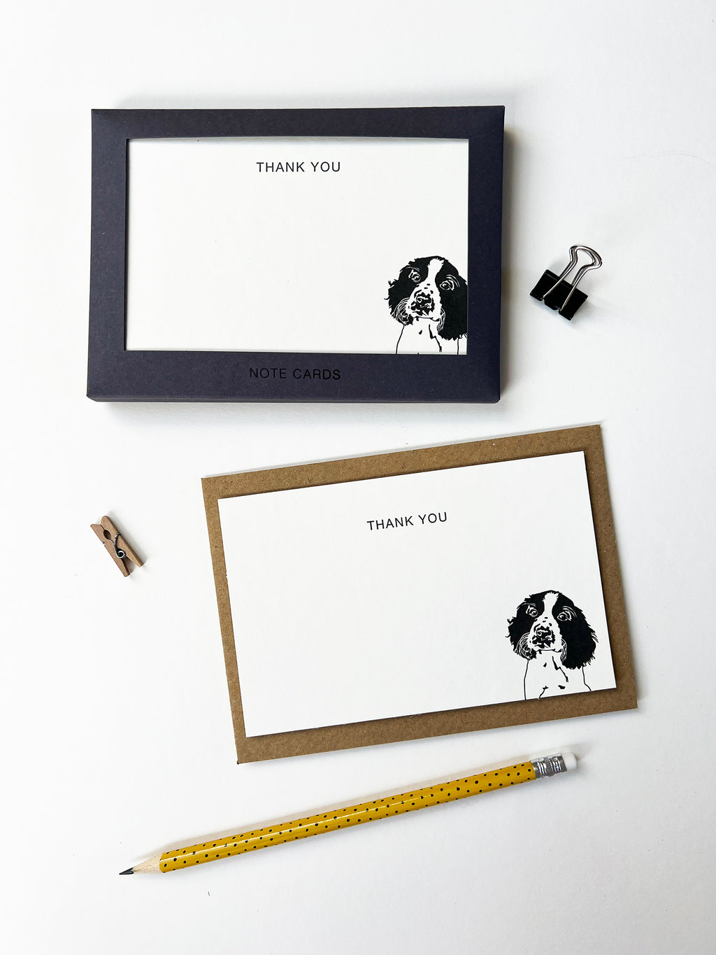 Springer Correspondence Notecard Set | Set of 10