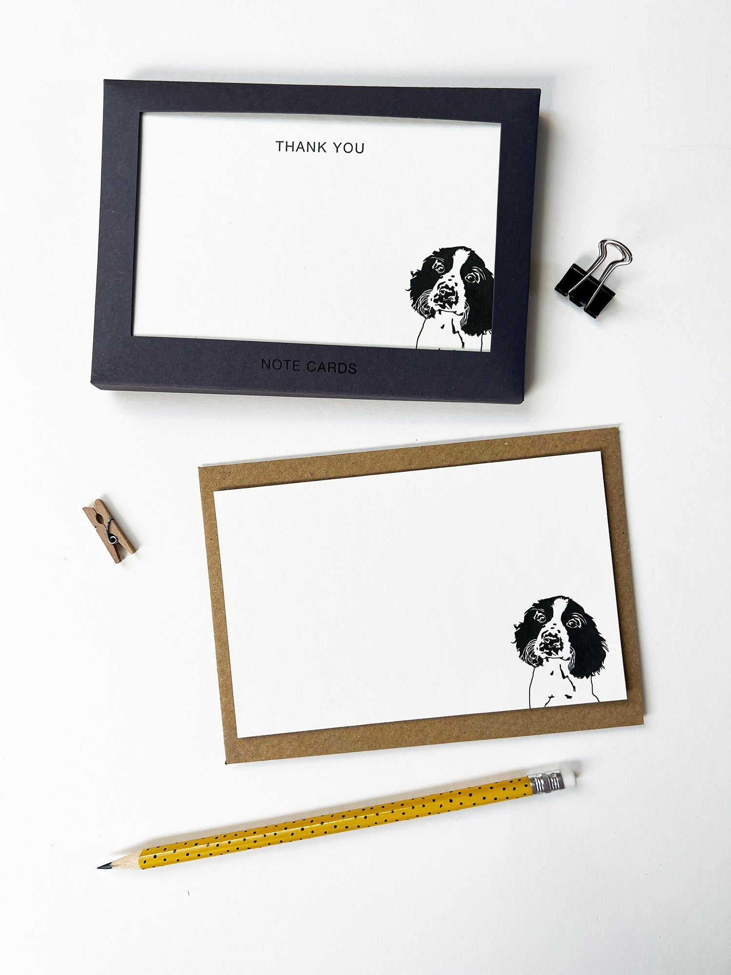 Springer Correspondence Notecard Set | Set of 10