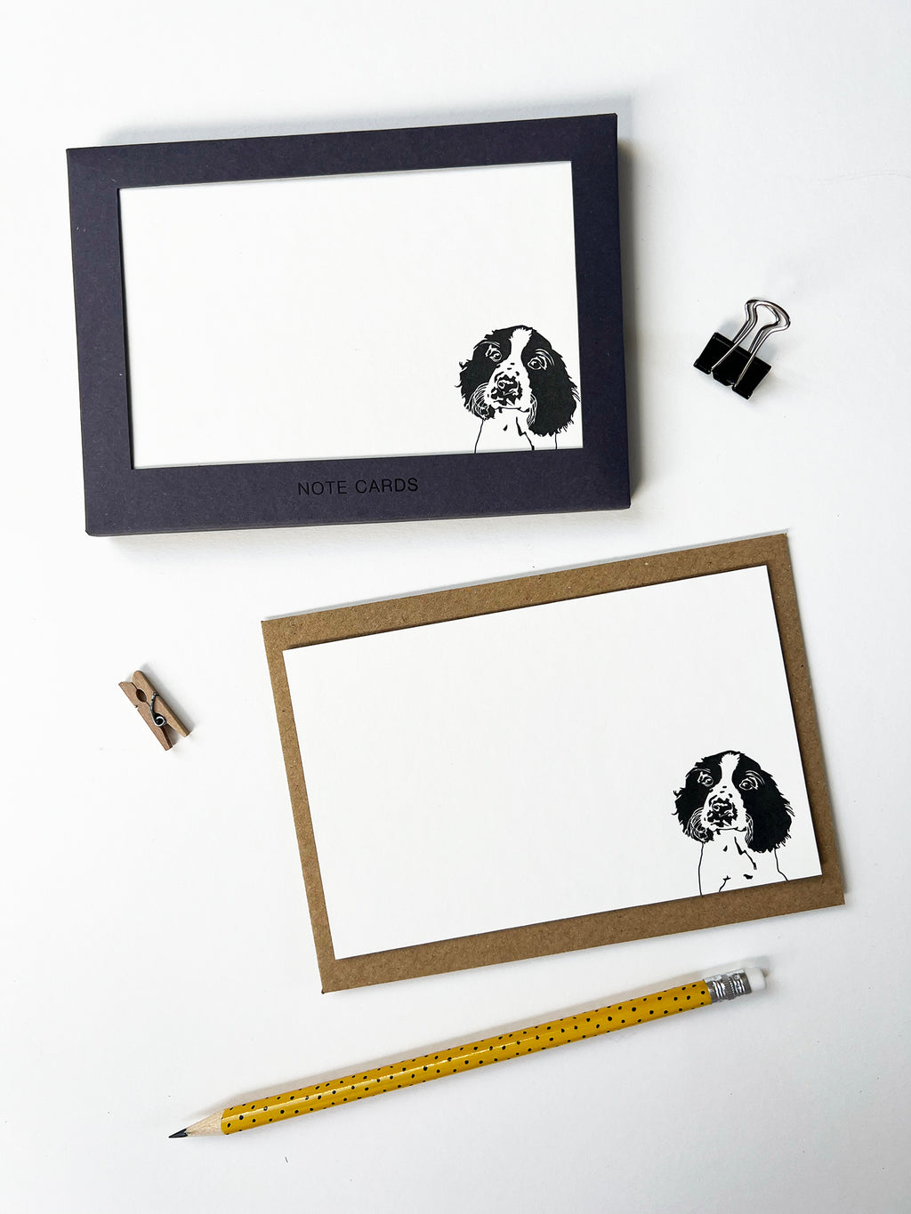 Springer Correspondence Notecard Set | Set of 10