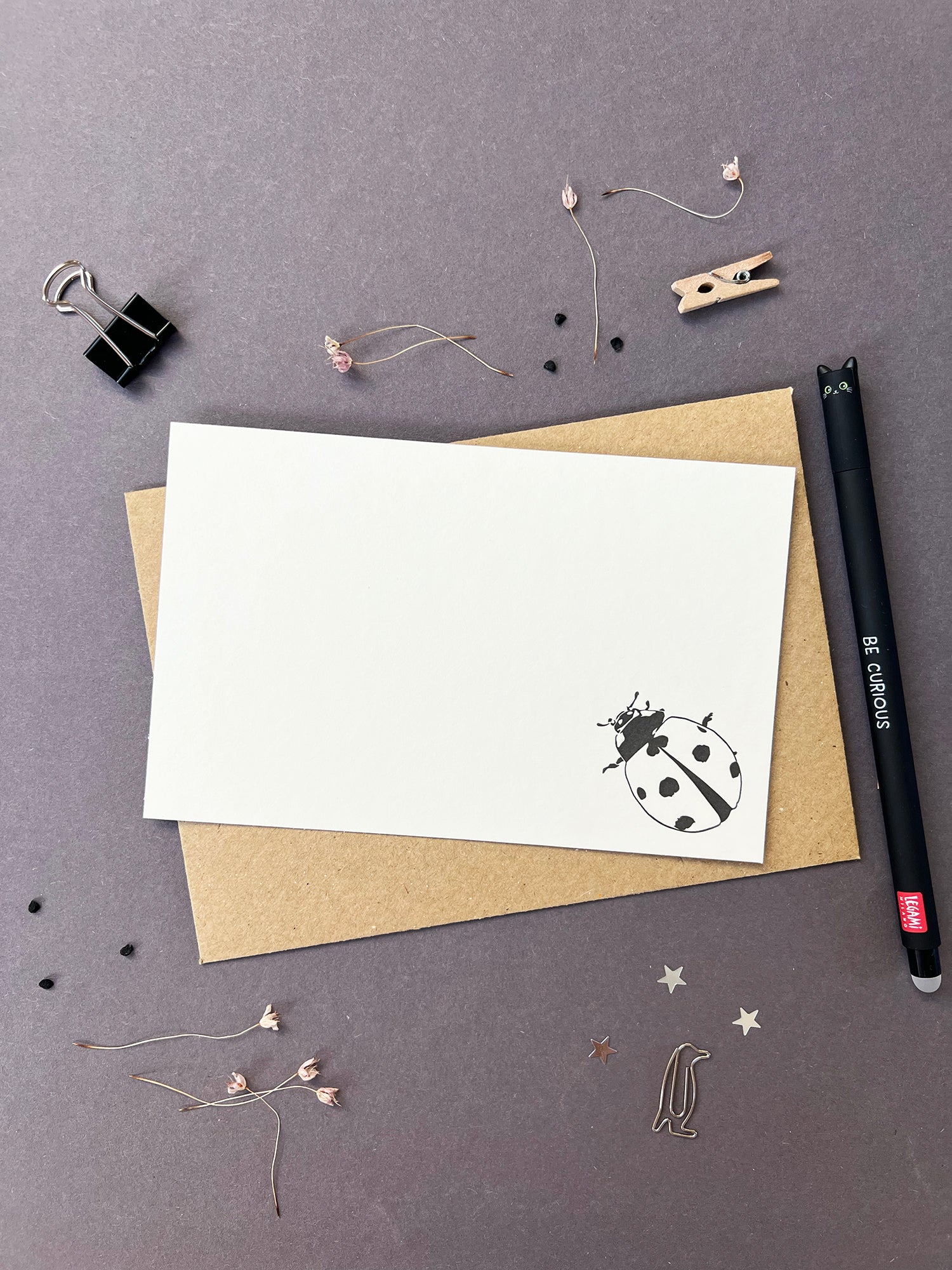 Ladybird Correspondence Notecard Set | Set of 10