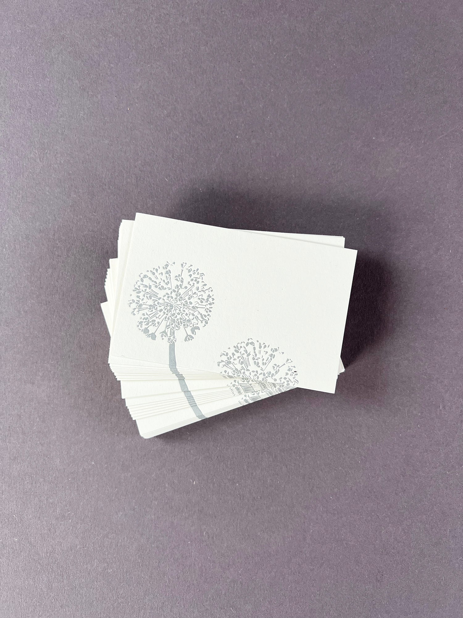 Allium Florist Cards