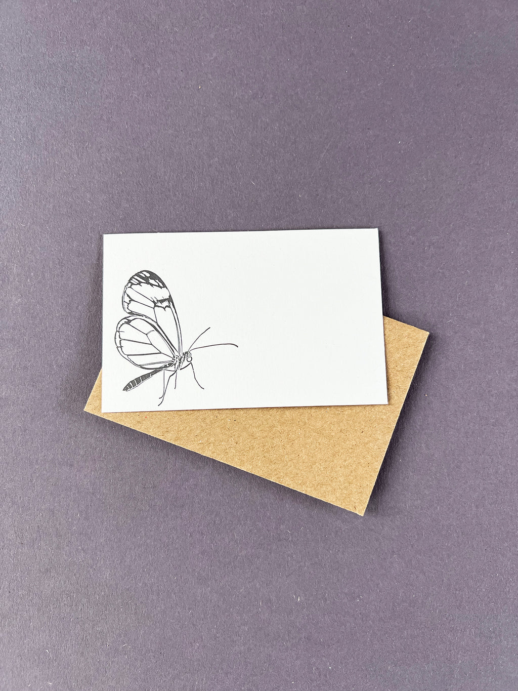 Glasswing Butterfly Florist Cards