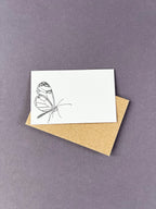 Glasswing Butterfly Florist Cards