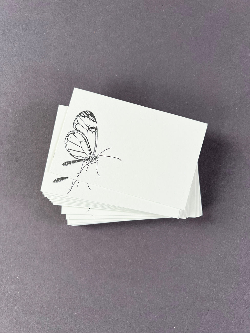 Glasswing Butterfly Florist Cards
