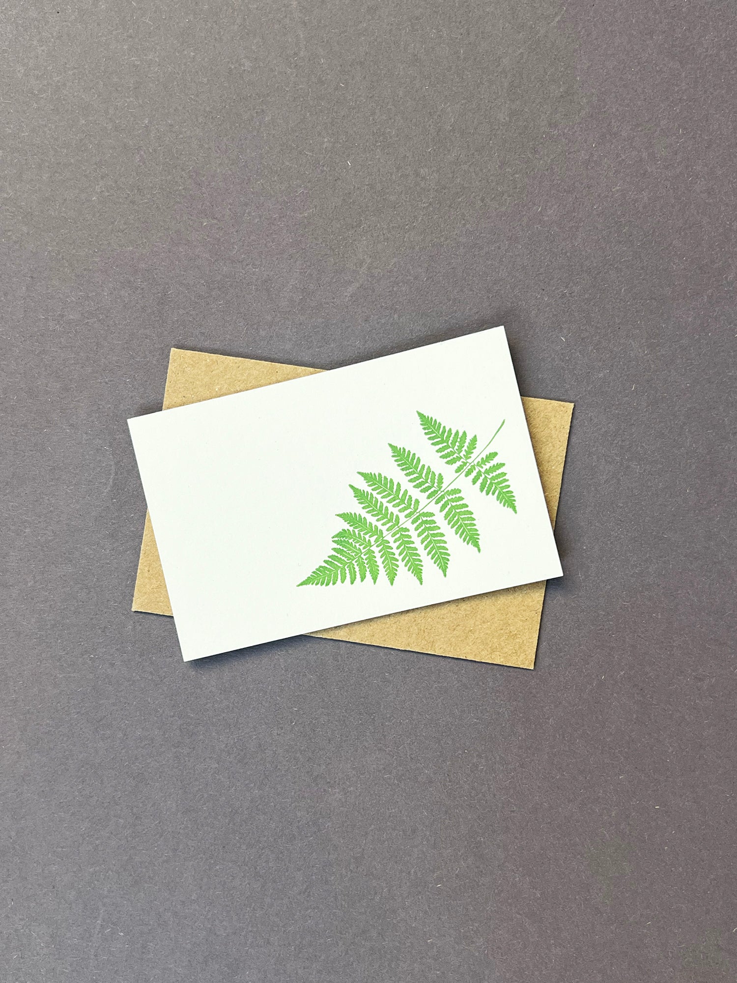 Fern Florist Cards